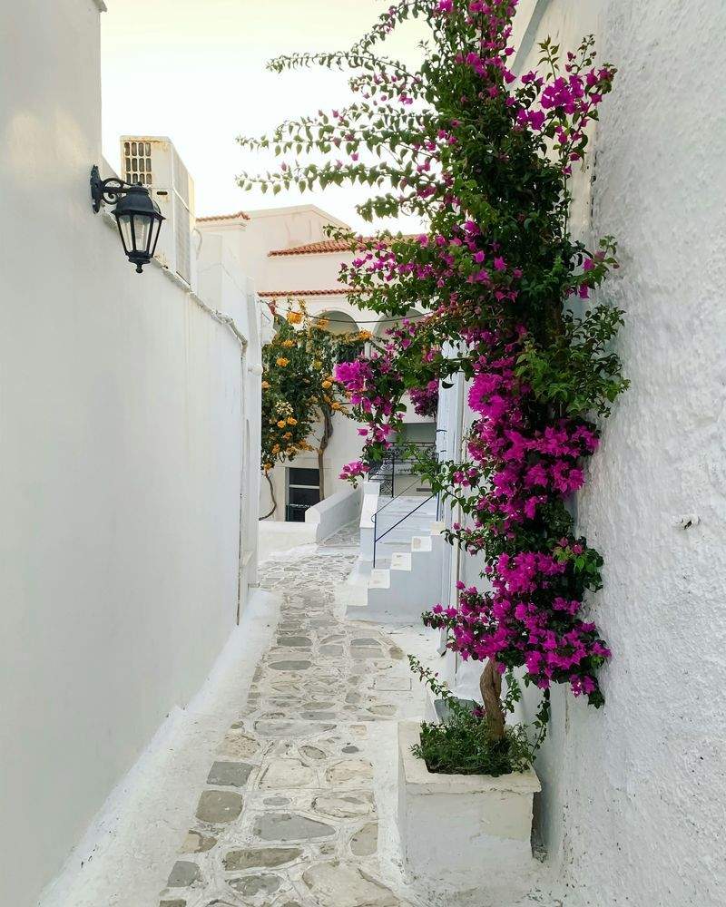 VerdeVivo Jardinería SP