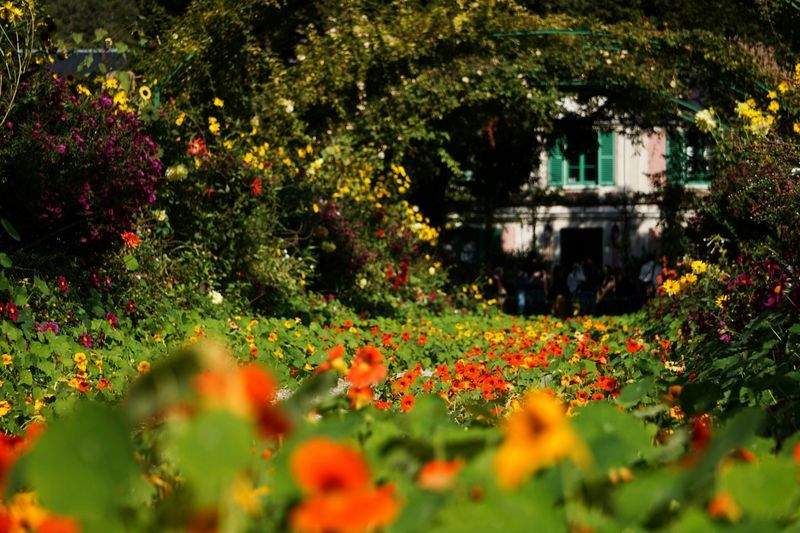 VerdeVivo Jardinería SP