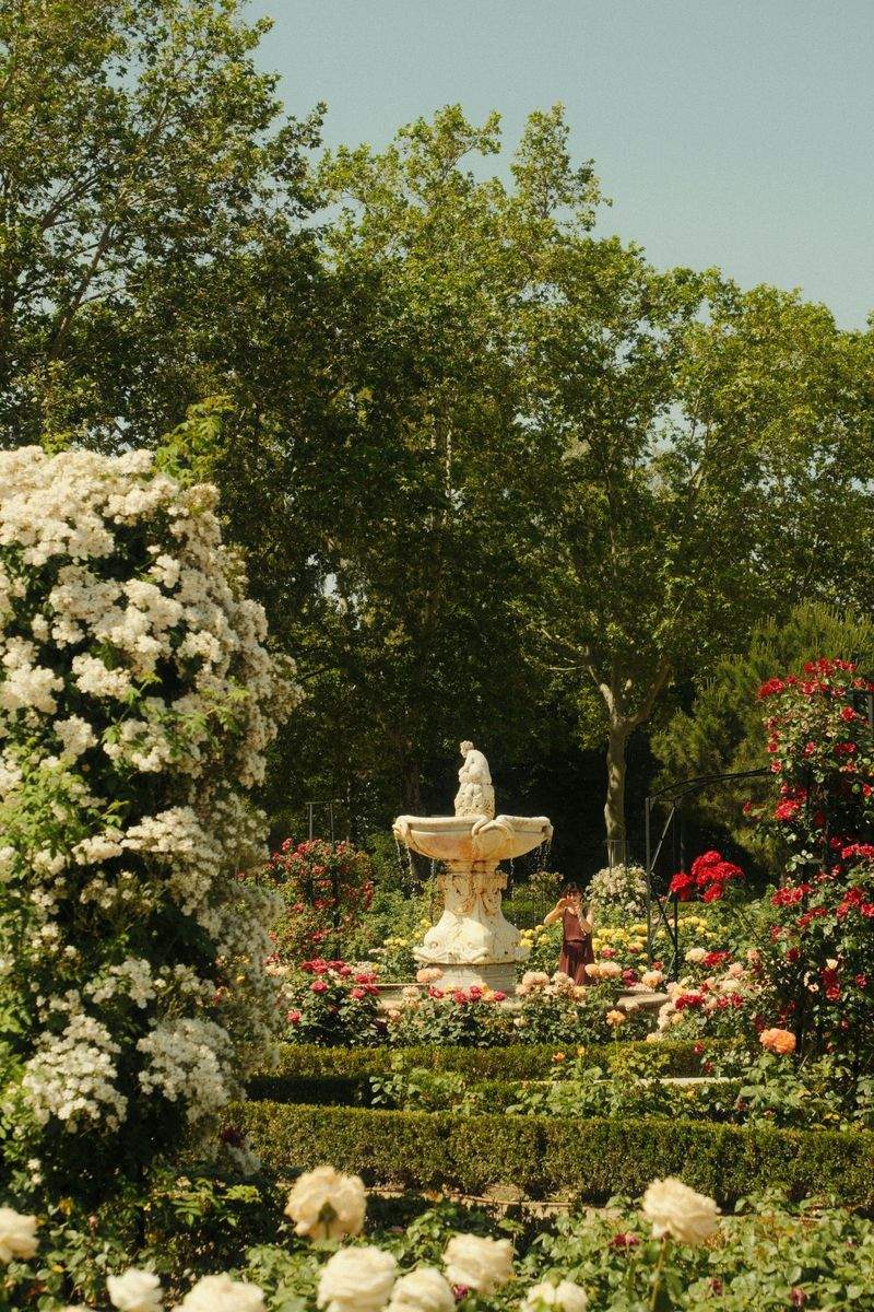 VerdeVivo Jardinería SP