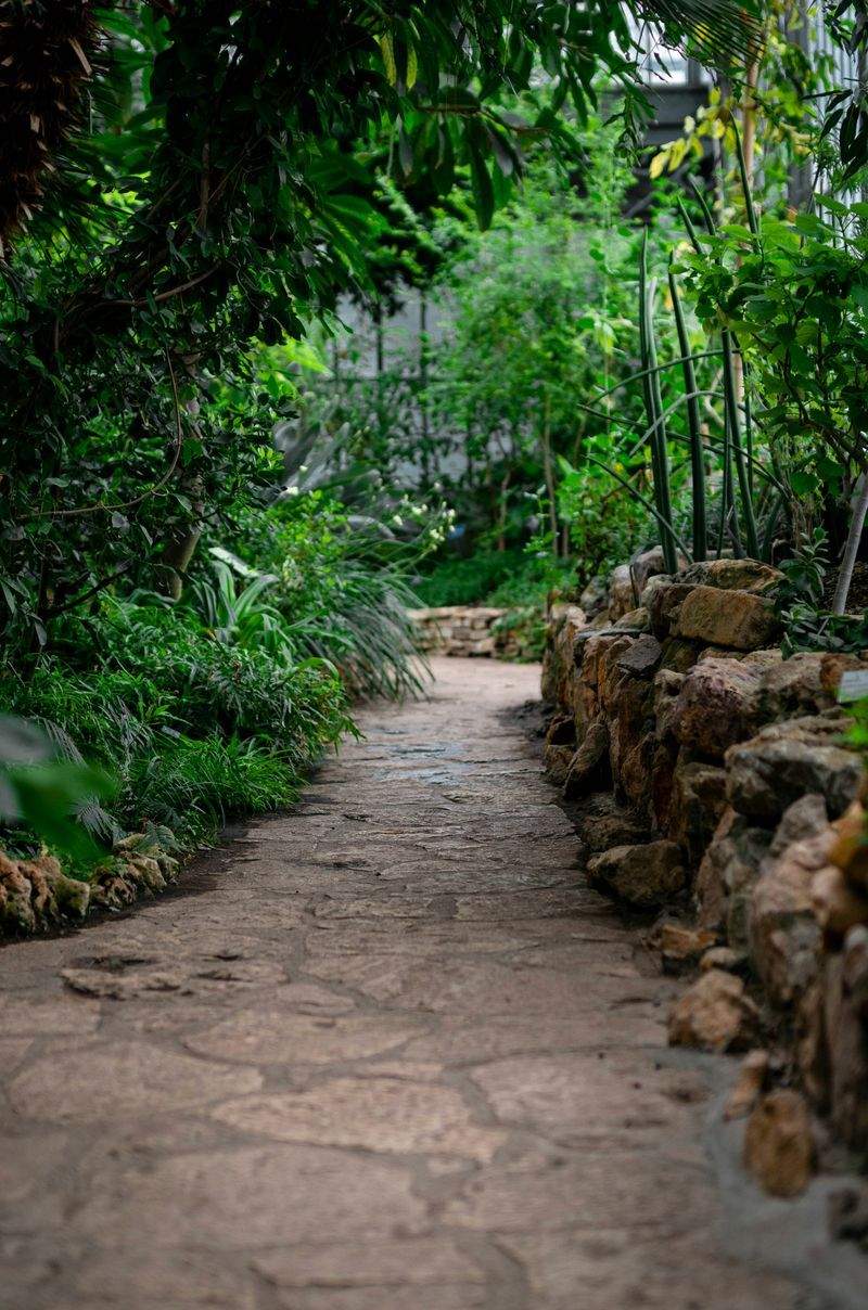 Flujo de renovación estacional del jardín