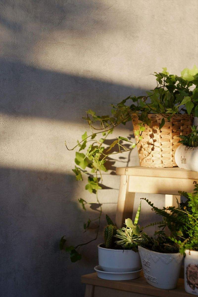 VerdeVivo Jardinería SP 6