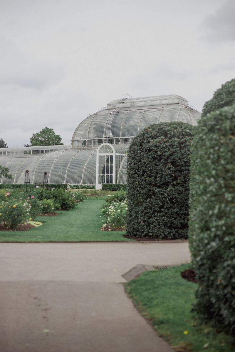 VerdeVivo Jardinería SP 8